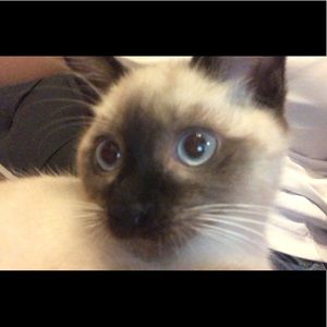 Meet your Posher, Haley